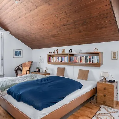 Charming Alpine With View 5min To Ost Apartment