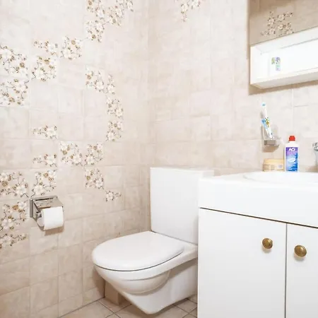 Charming Alpine With View 5min To Ost Apartment